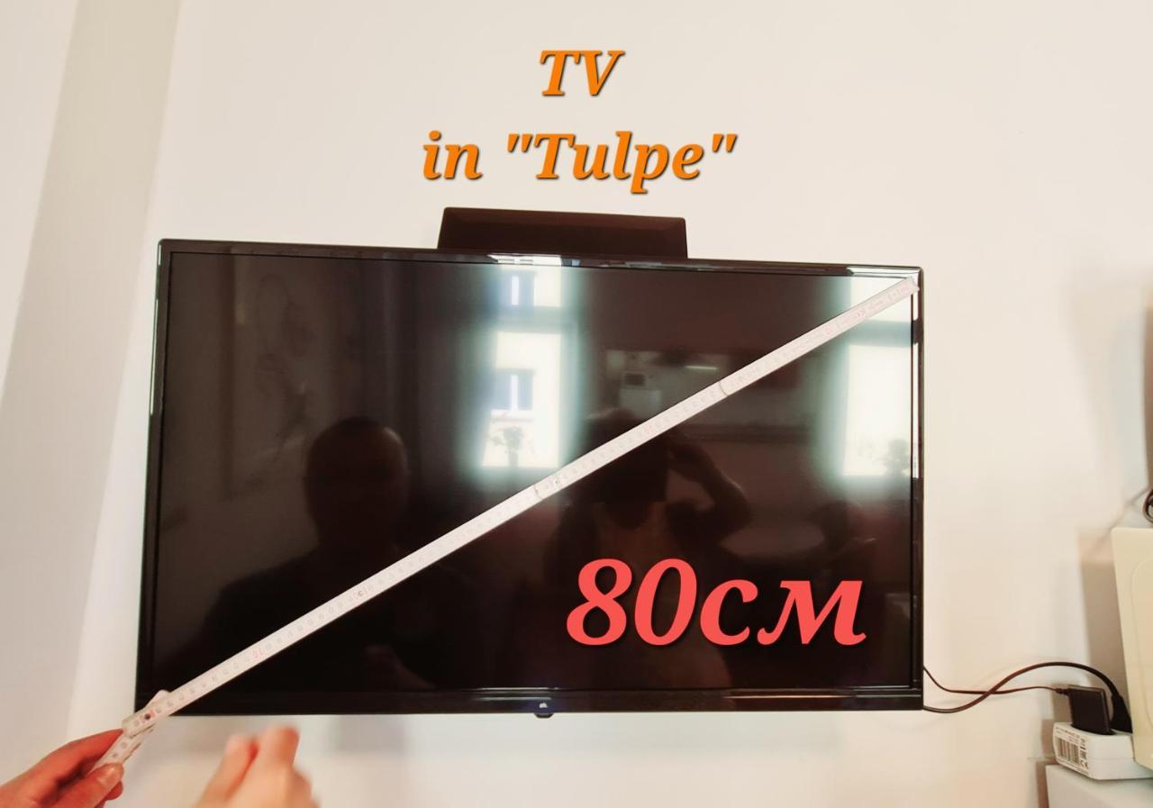 Elena Flat Tulpe Duisburg Zentrum Ngoại thất bức ảnh