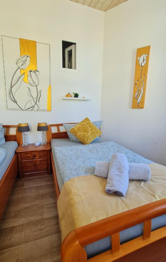Elena Flat Tulpe Duisburg Zentrum Ngoại thất bức ảnh